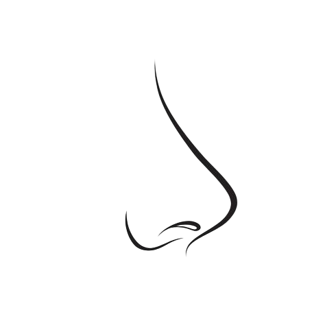 Первичная ринопластика